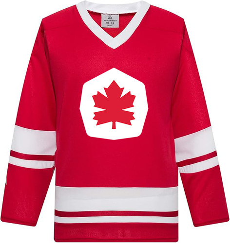 Replica SFU Hockey Jersey - $80