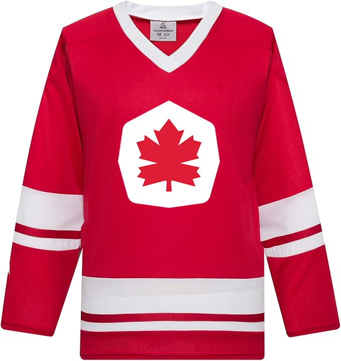 Replica SFU Hockey Jersey - $80